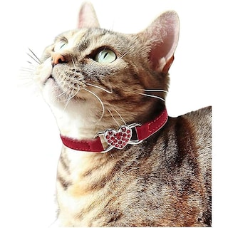 Foto 4 | Collar Para Gatos Huoguo Heart Con Cinturón De Seguridad Y Campana Ajustables - Venta Internacional.