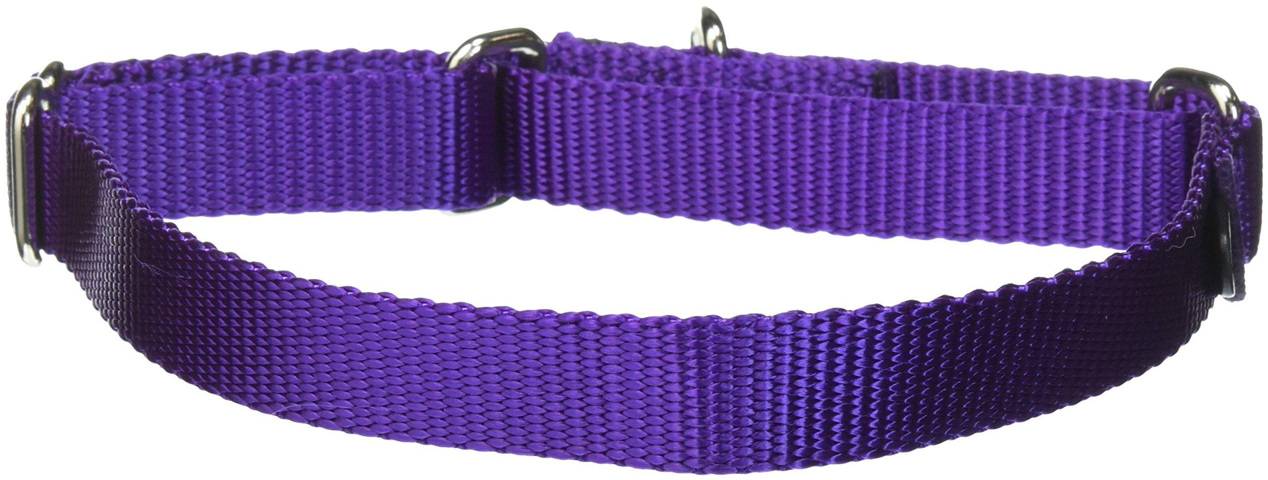 Collar Martingale Petsafe, Color Morado Oscuro, 3/4 Pulgadas, Tamaño Mediano - Venta Internacional.