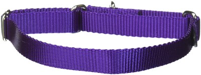 Foto 1 | Collar Martingale Petsafe, Color Morado Oscuro, 3/4 Pulgadas, Tamaño Mediano - Venta Internacional.