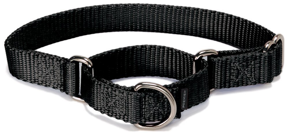 Collar Martingale Petsafe 1 Grande Para Perros, Negro - Venta Internacional.