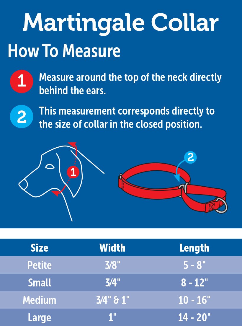 Foto 4 pulgar | Collar Martingale Petsafe 1 Grande Para Perros, Negro - Venta Internacional.