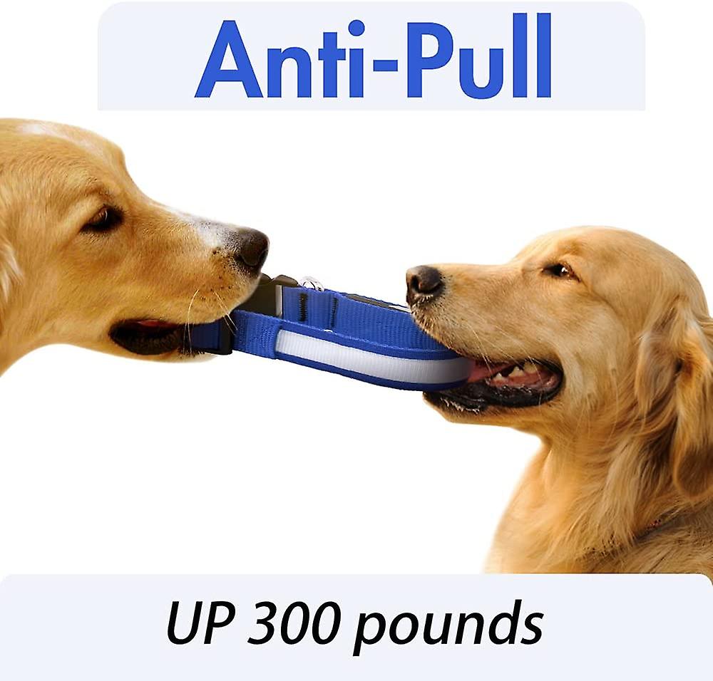 Foto 4 pulgar | Collar Led Para Perros Huoguo, Ultraligero, Impermeable Y Ajustable - Venta Internacional.