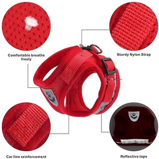 Foto 3 | Conjunto De Arnés Y Correa Para Gatos, Chaleco Ajustable De Malla Suave Huoguo - Venta Internacional.