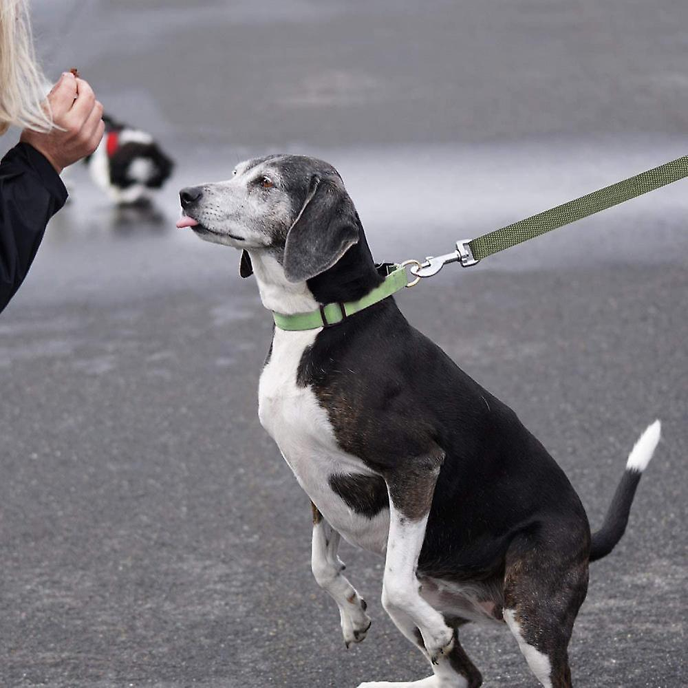 Foto 3 | Correa Para Perros Sanlin Beans Dog Training, Nailon Verde, 10 M - Venta Internacional.