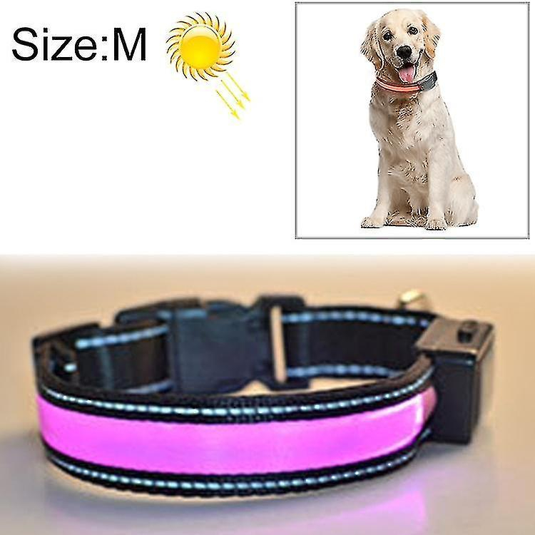 Foto 2 pulgar | Bañeras Para Pájaros Con Forma De Jaula Para Perros Medianos Y Grandes - Huoguo - Venta Internacional.