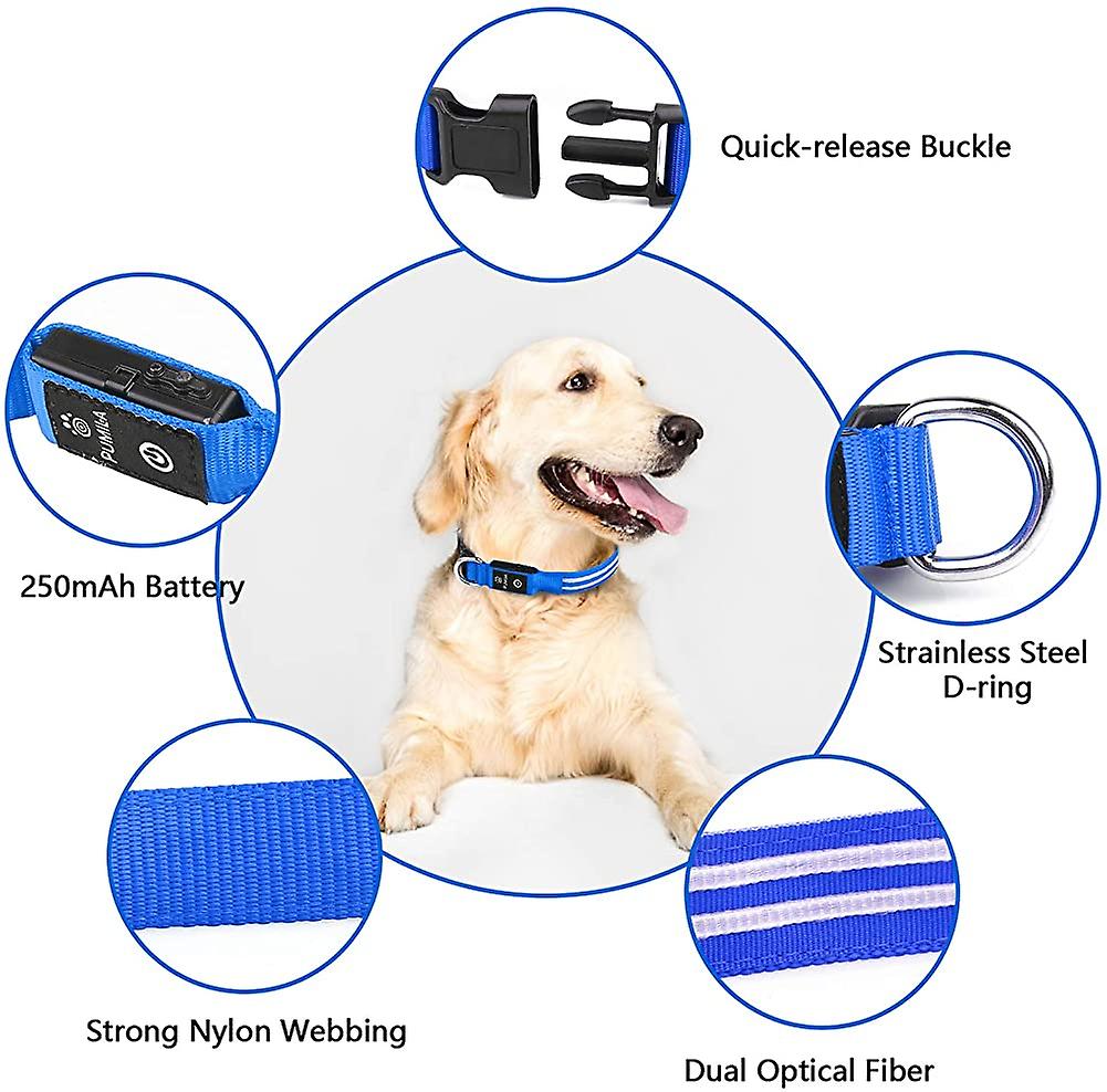 Foto 3 pulgar | Collar Para Perro Light Up Huoguo, Recargable Por Usb, Resistente Al Agua - Venta Internacional.