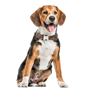 Foto 2 | Collar Para Perro Huoguo Collar De Algodón Semimetálico Con Estampado Étnico - Venta Internacional.