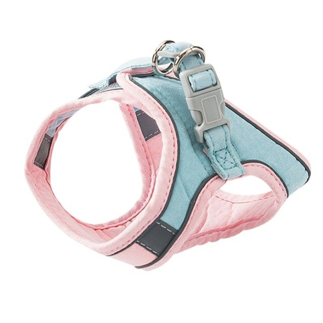 Juego De Arneses Y Correas Para Gatos Chihuahua, Chaleco Para Perros Pequeños - Venta Internacional.
