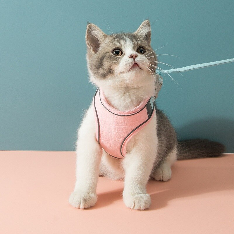 Foto 2 | Juego De Arneses Y Correas Para Gatos Chihuahua, Chaleco Para Perros Pequeños - Venta Internacional.