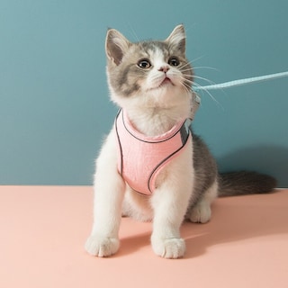 Foto 2 | Juego De Arneses Y Correas Para Gatos Chihuahua, Chaleco Para Perros Pequeños - Venta Internacional.