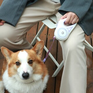 Foto 2 | Juego De Correa Y Collar Retráctil Para Perros Con Luz Led - Venta Internacional.