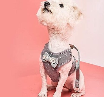 Foto 1 | Arnés Para Gatos Huoguo Fly Con Correa Ajustable De 1,2 M, Gris Suave - Venta Internacional.