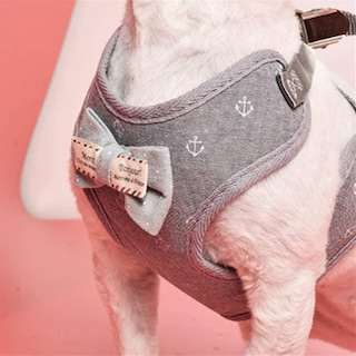 Foto 2 | Arnés Para Gatos Huoguo Fly Con Correa Ajustable De 1,2 M, Gris Suave - Venta Internacional.