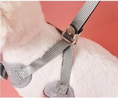 Foto 3 | Arnés Para Gatos Huoguo Fly Con Correa Ajustable De 1,2 M, Gris Suave - Venta Internacional.