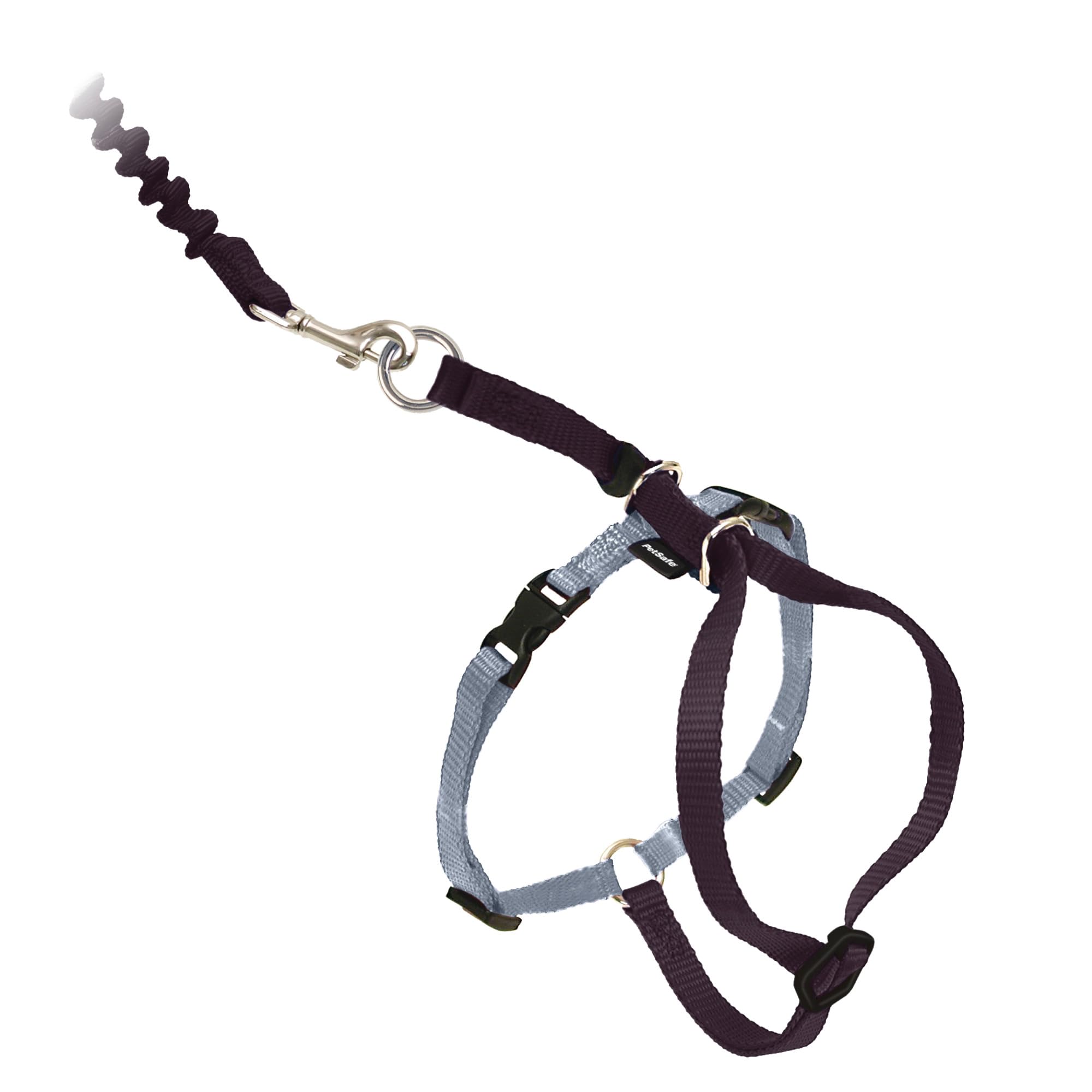 Arnés Y Correa Elástica Para Gatos Petsafe Come With Me Kitty - Venta Internacional.