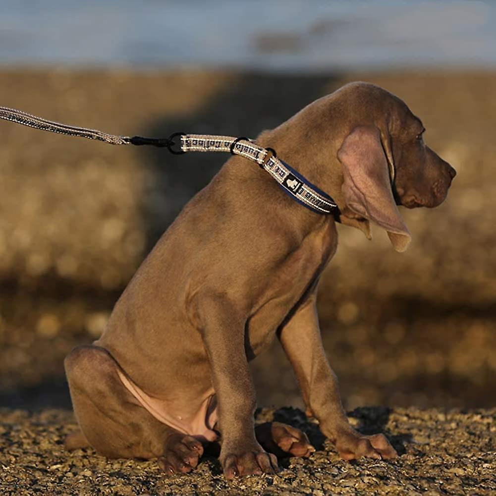 Foto 2 | Collar Para Perros Huoguo, De Nailon Sin Tirones, Con Banda Reflectante - Venta Internacional.