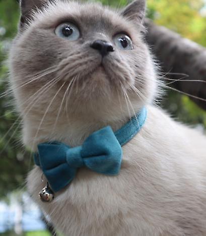 Foto 2 | Collar De Gato, Collar Ajustable De Leopardo Para Mascotas Con Pajarita - Venta Internacional.