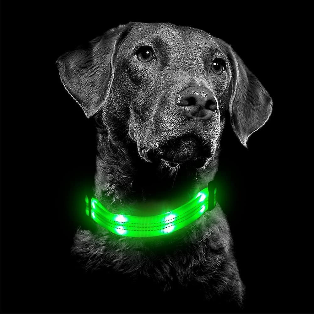 Foto 3 | Collar Led Para Perros Huoguo Usb Recargable A Prueba De Agua - Venta Internacional.