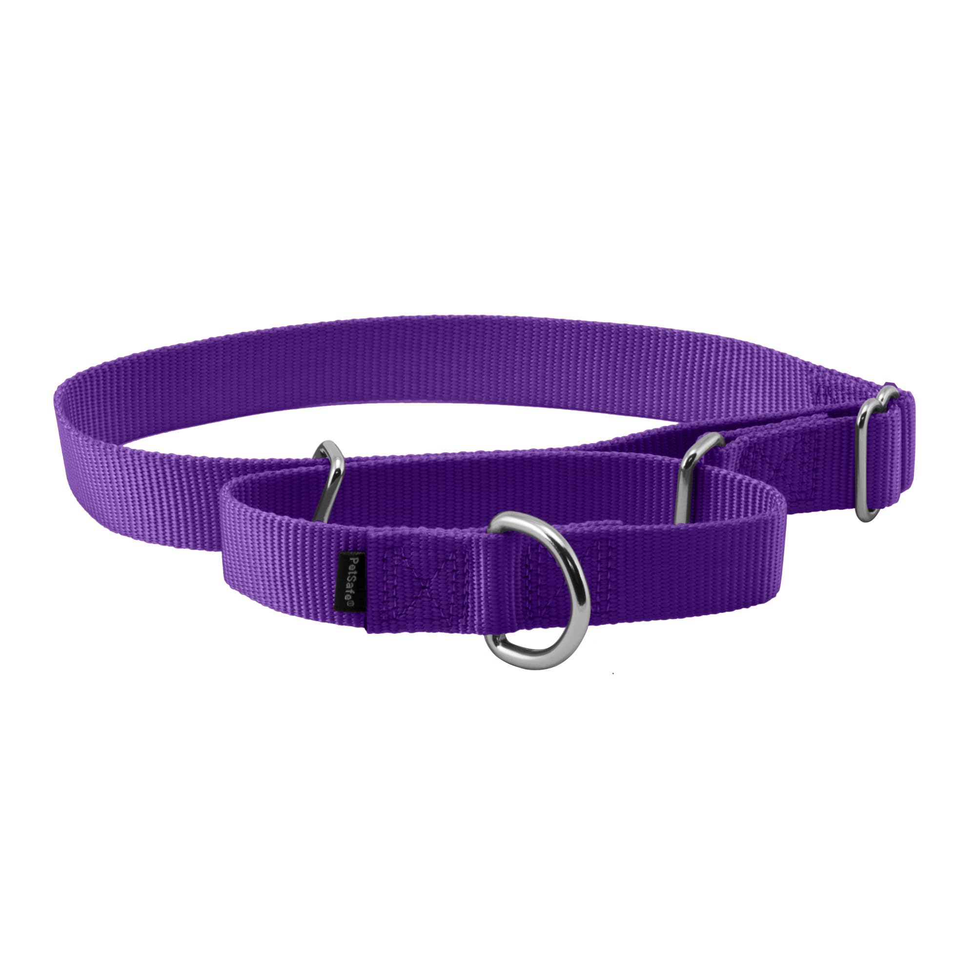 Collar Martingale Petsafe De Color Morado Oscuro, Talla L - Venta Internacional.