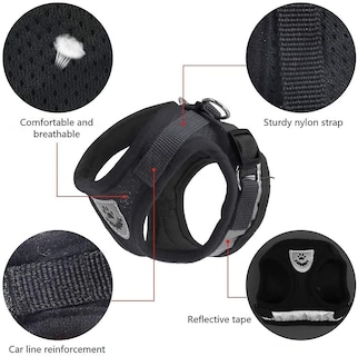 Foto 2 | Juego De Arneses Y Correas Huoguo, Malla Suave Y Ajustable Para Gatos - Venta Internacional.
