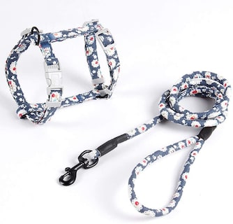 Foto 1 | Juego De Arneses Para Gatos Huoguo, Chaleco Ajustable De 4 Piezas Con Correa - Venta Internacional.