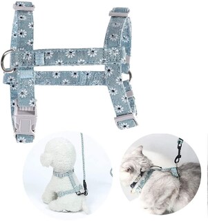 Foto 4 | Juego De Arneses Para Gatos Huoguo, Chaleco Ajustable De 4 Piezas Con Correa - Venta Internacional.