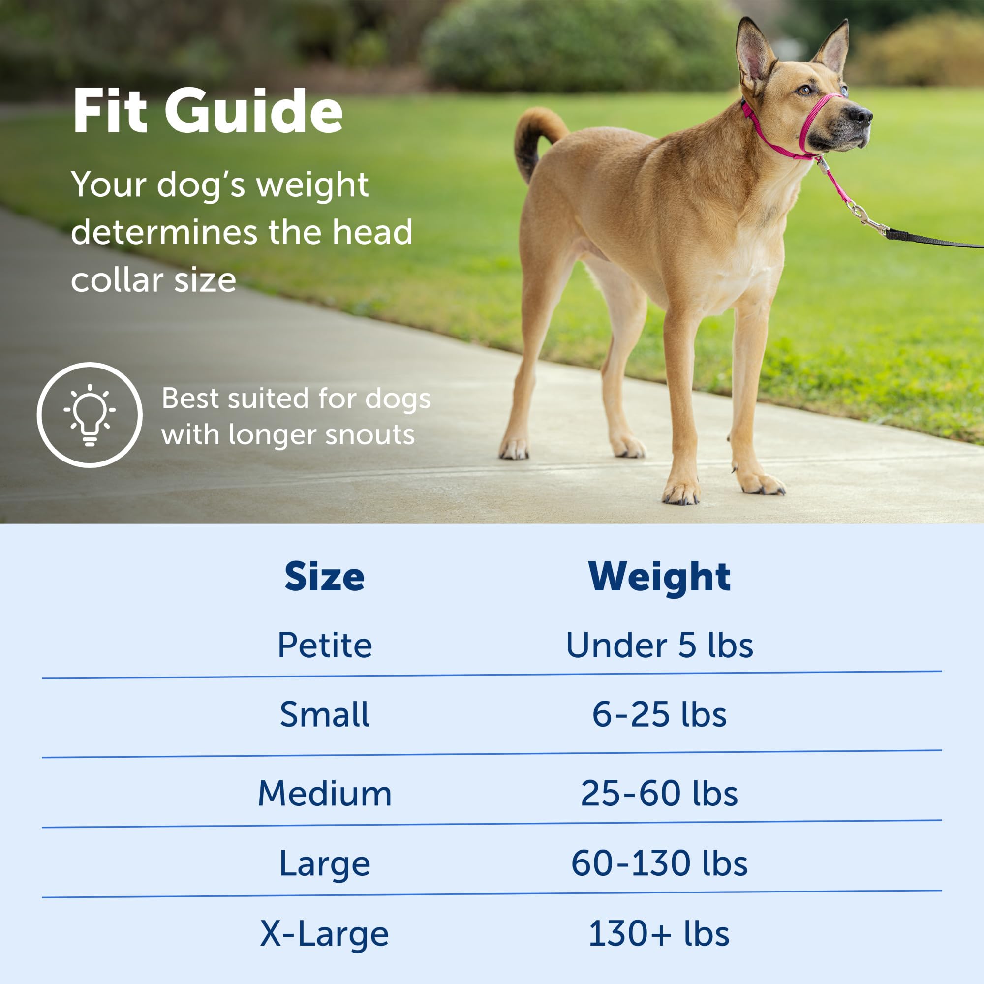 Foto 5 | Collar Para Perro Petsafe Gentle Leader No-pull Medium Black - Venta Internacional.