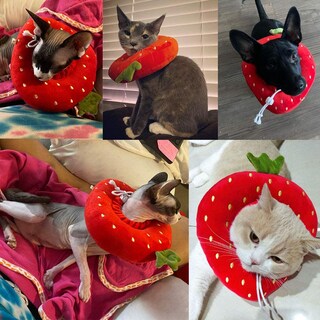 Foto 2 | Collar De Recuperación Para Gatos Huoguo, Cuello Ajustable En Forma De Fresa - Venta Internacional.