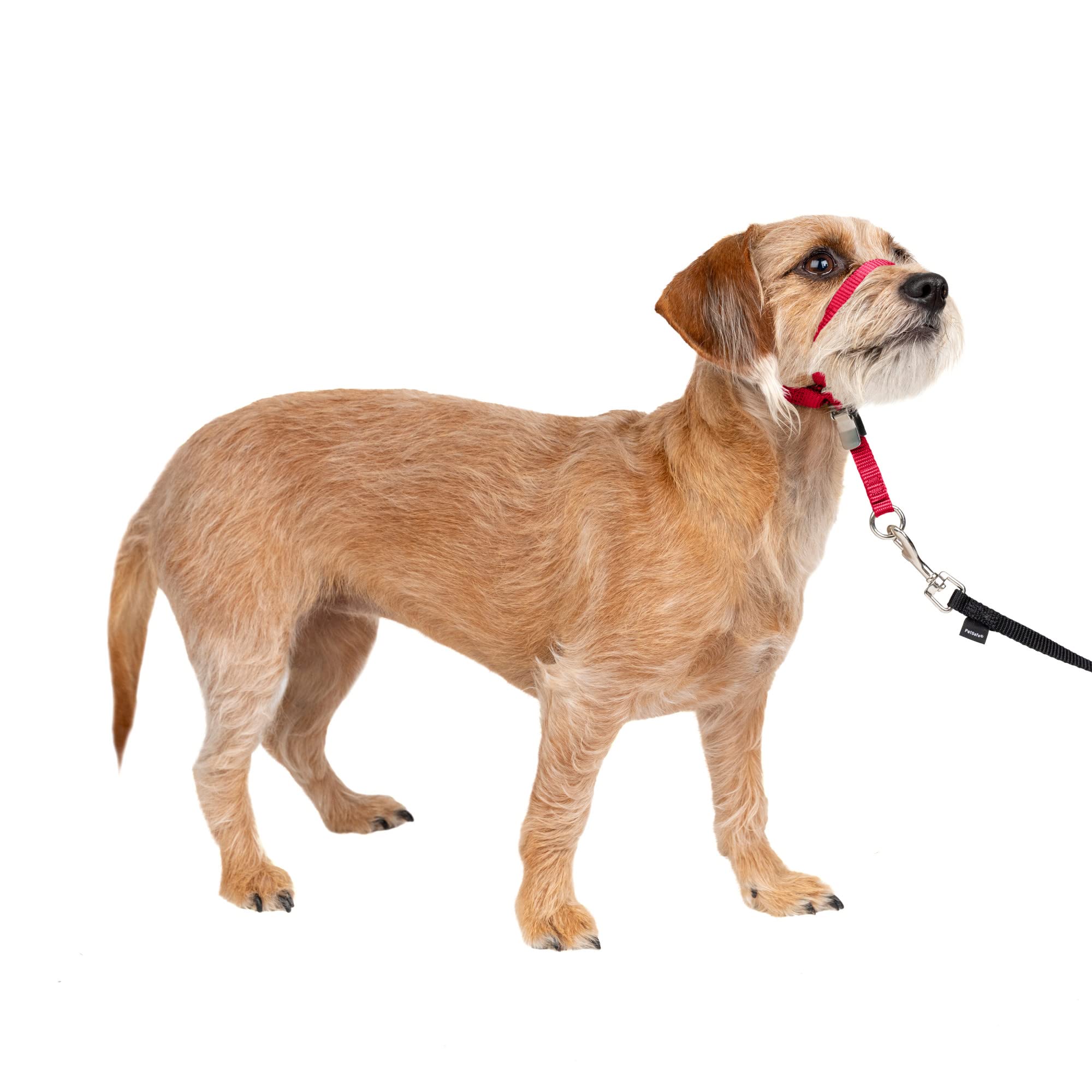 Collar De Cabeza Petsafe Gentle Leader No-pull Para Perro Pequeño, Rojo - Venta Internacional.