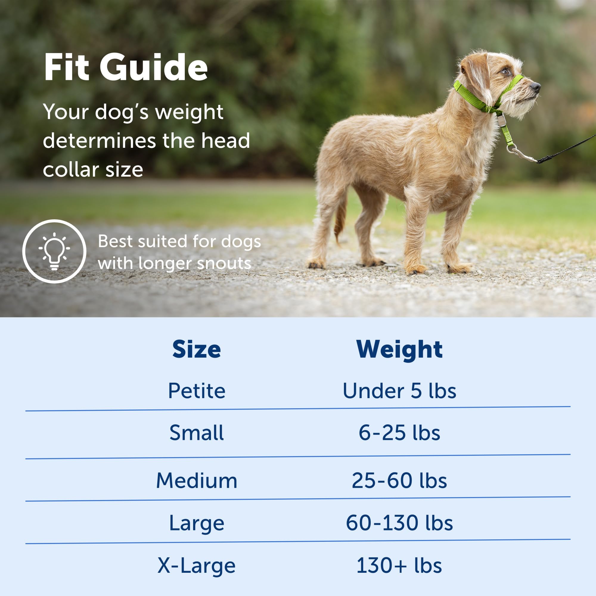 Foto 5 | Collar Para Perro Petsafe Gentle Leader No-pull Small Morado - Venta Internacional.