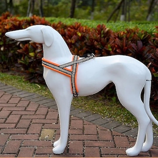 Foto 3 | Arnés De Pecho Con Correa Traction Para Perros Grandes Huoguo A7 Reflecti - Venta Internacional.