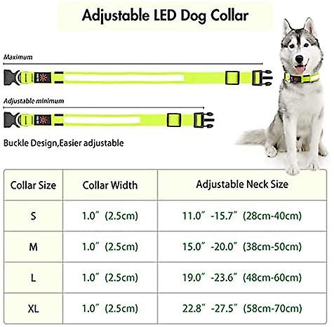 Foto 3 pulgar | Collar Led Para Perros Huoguo, Ultraligero, Impermeable Y Recargable - Venta Internacional.