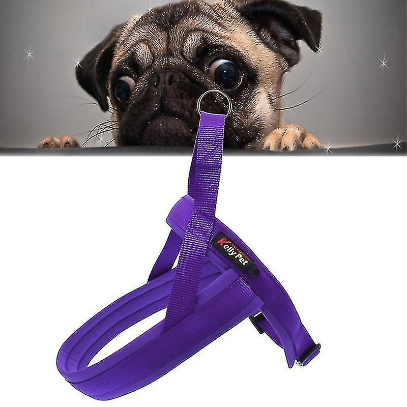 Arnés De Pecho Con Correa De Nailon Para Perros, Talla M, Color Morado - Venta Internacional.
