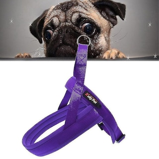 Foto 1 | Arnés De Pecho Con Correa De Nailon Para Perros, Talla M, Color Morado - Venta Internacional.
