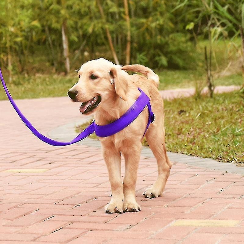 Foto 3 pulgar | Arnés De Pecho Con Correa De Nailon Para Perros, Talla M, Color Morado - Venta Internacional.