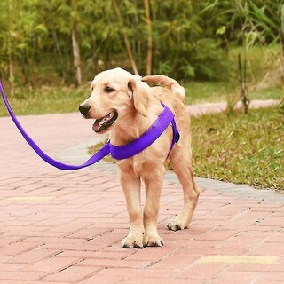 Foto 2 | Arnés De Pecho Con Correa De Nailon Para Perros, Talla M, Color Morado - Venta Internacional.