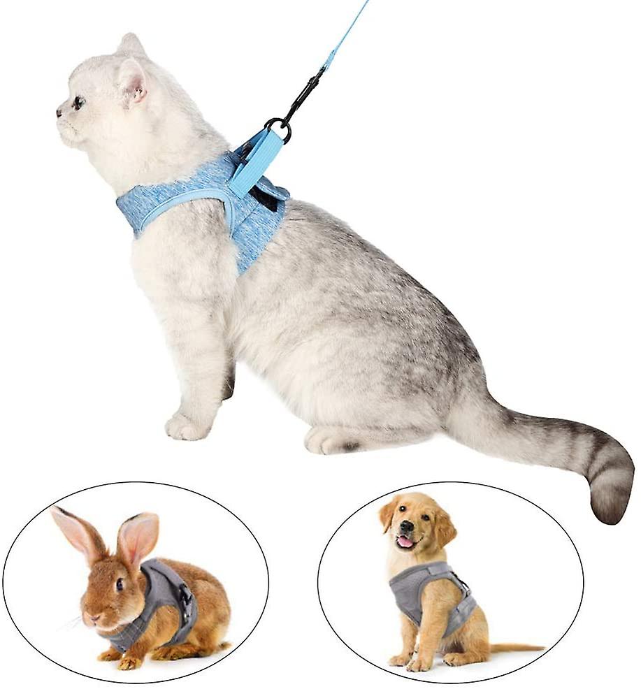 Foto 5 pulgar | Juego De Arnés Y Correa Para Gatos, Collar Ultraligero Y Suave Para Gatitos - Venta Internacional.