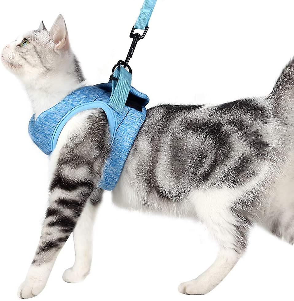 Foto 6 pulgar | Juego De Arnés Y Correa Para Gatos, Collar Ultraligero Y Suave Para Gatitos - Venta Internacional.
