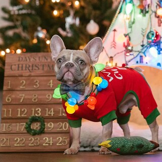 Foto 1 | Collar Para Perro Huoguo, Camuflaje Personalizado Con Lazo, Actualización De 2021 - Venta Internacional.