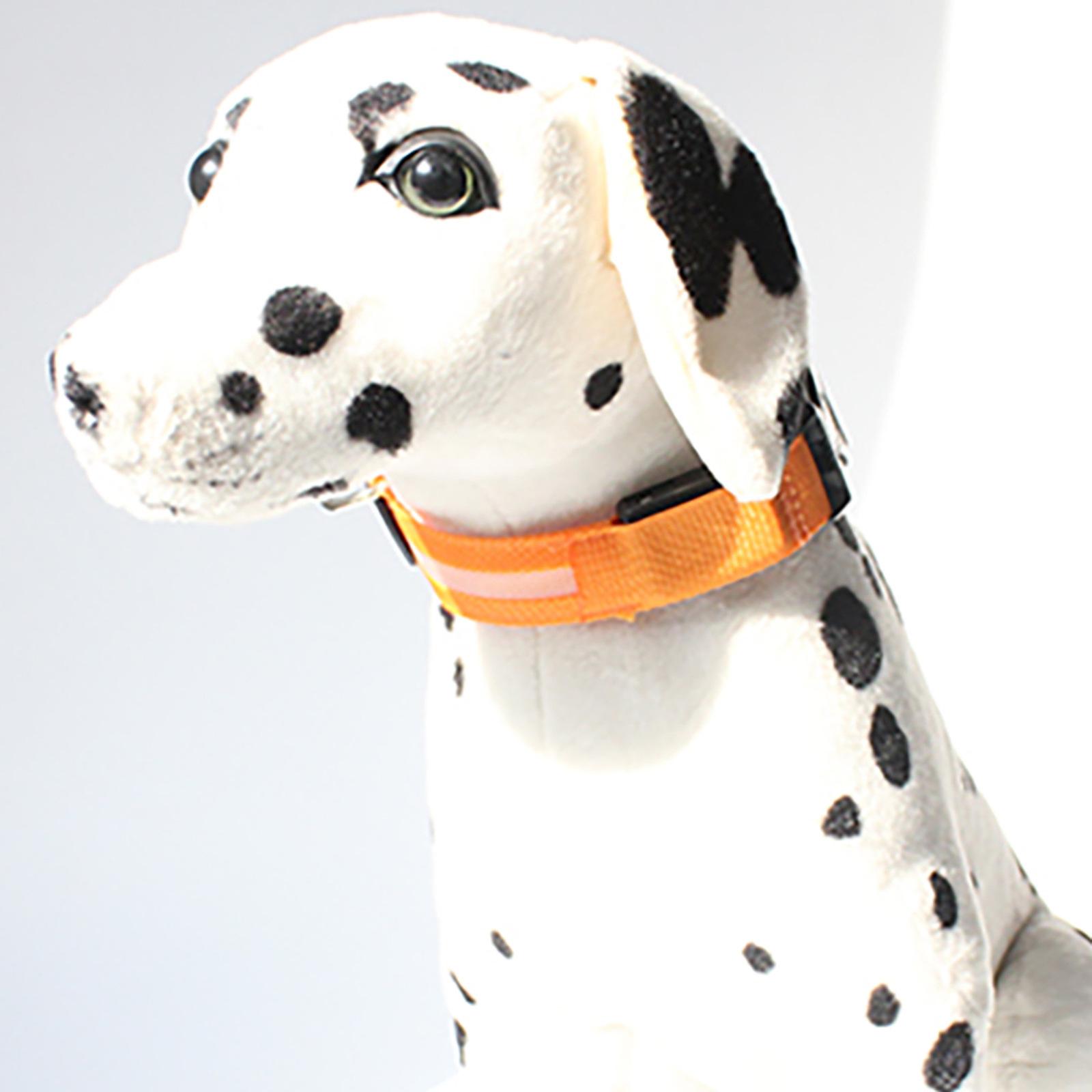 Foto 4 pulgar | Collar Led Para Perros, Recargable Por Usb, Para Perros Pequeños Y Medianos - Venta Internacional.