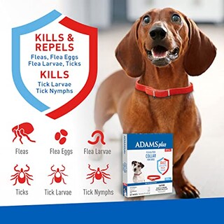 Foto 3 | Collar Antipulgas Y Garrapatas Adams Plus Para Perros Con Protección De 7 Meses - Venta Internacional.