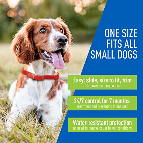 Foto 5 pulgar | Collar Antipulgas Y Garrapatas Adams Plus Para Perros Con Protección De 7 Meses - Venta Internacional.