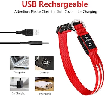 Foto 2 | Collar Para Perro Light Up Huoguo, Recargable Por Usb, Resistente Al Agua - Venta Internacional.