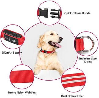 Foto 3 | Collar Para Perro Light Up Huoguo, Recargable Por Usb, Resistente Al Agua - Venta Internacional.