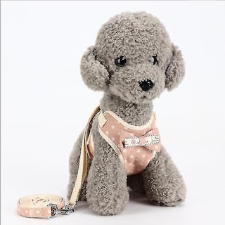 Foto 1 | Cuerda Universal Con Forma De Jaula Para Pájaros, Espalda De Perro Y Mascota - Venta Internacional.