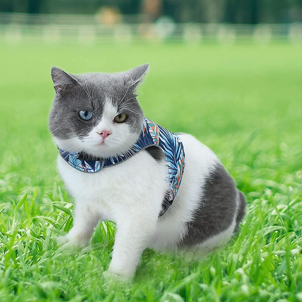Foto 1 | Juego De Arneses Reflectantes Para Gatos Huoguo Con Correa A Prueba De Fugas - Venta Internacional.