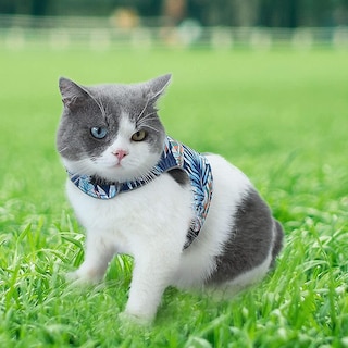 Foto 1 | Juego De Arneses Reflectantes Para Gatos Huoguo Con Correa A Prueba De Fugas - Venta Internacional.