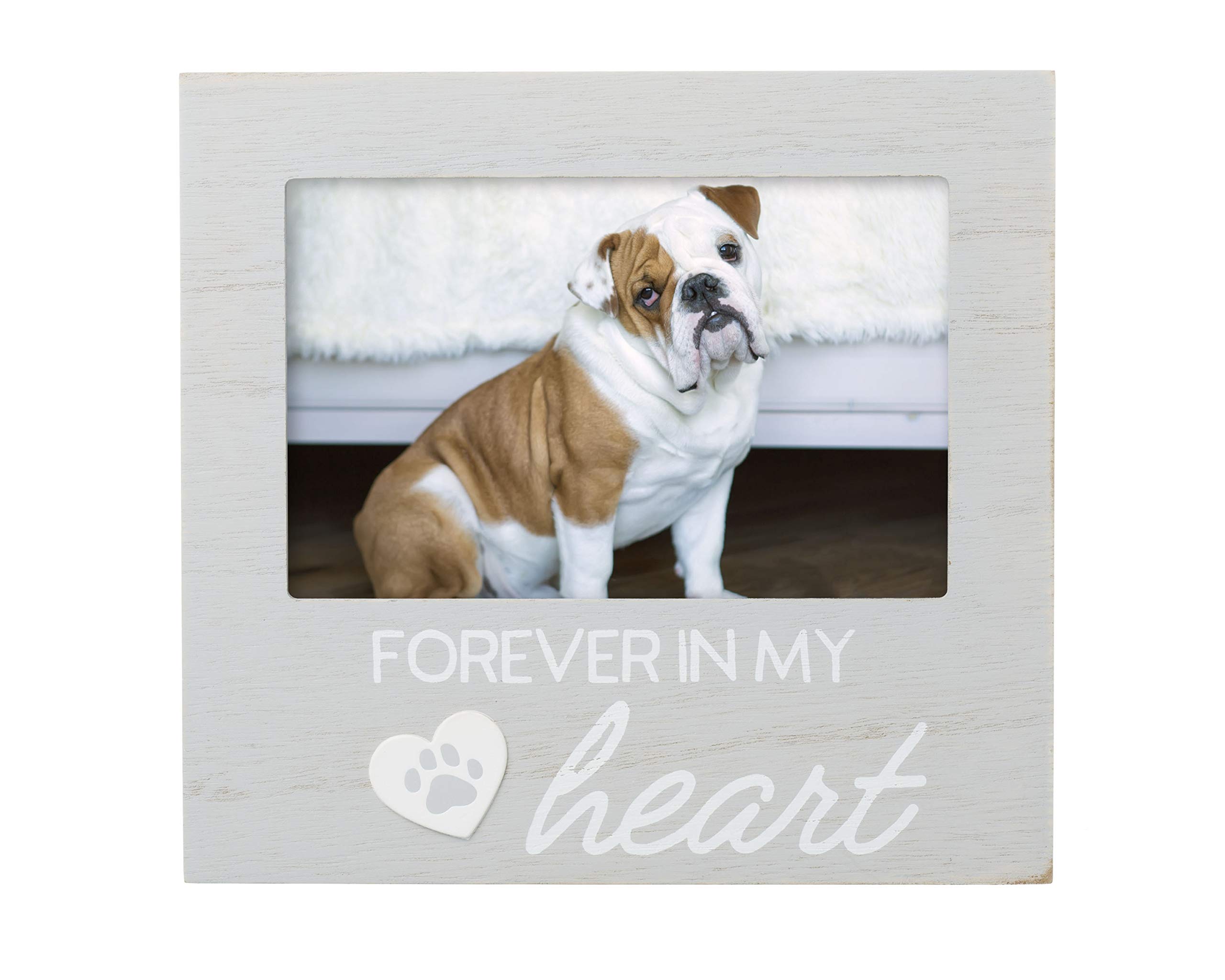 Marco Conmemorativo Para Fotos Pearhead Pet Forever In My Heart - Venta Internacional.