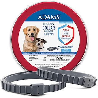 Foto 1 | Collar Antipulgas Y Garrapatas Adams Para Perros Y Cachorros, 12 Meses, Paquete De 2 - Venta Internacional.