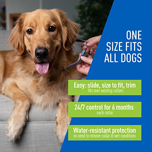 Foto 4 | Collar Antipulgas Y Garrapatas Adams Para Perros Y Cachorros, 12 Meses, Paquete De 2 - Venta Internacional.